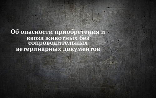 Опасно приобретать и ввозить животных без ветеринарных документов