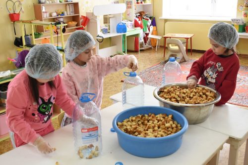 Помощь из детских рук: воспитанники детского сада «Солнышко» шлют поддержку бойцам СВО