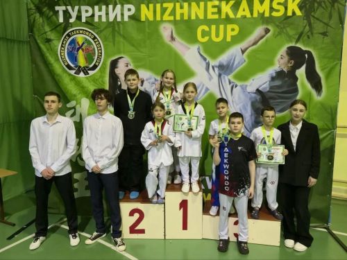 Юные тхэквондисты из Камских Полян завоевали награды на турнире «Nizhnekamsk Cup»