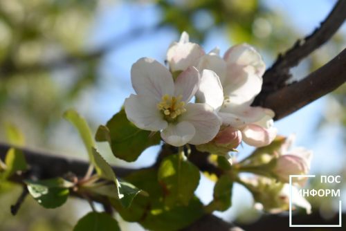 На майские праздники россияне будут отдыхать: с 1 по 3 мая и с 9 по 11 мая