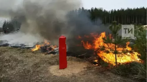 В Татарстане начался пожароопасный сезон в лесах