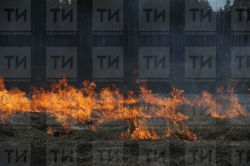 С 25 апреля в Татарстане вводится особый противопожарный режим