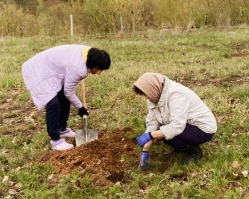 Сотрудники детского сада «Айгуль» Камских Полян подарили природе вторую жизнь