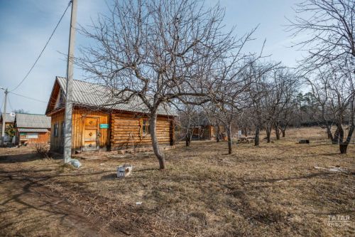 Юрист объяснила, в каких случаях рубка деревьев на даче может повлечь уголовную ответственность