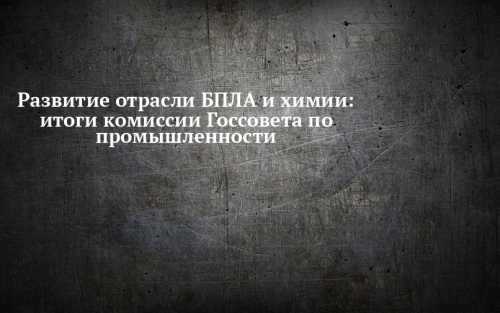 Развитие отрасли БПЛА и химии обсудили на комиссии Госсовета  по промышленности с Вячеславом Федорищевым и Антоном Алихановым