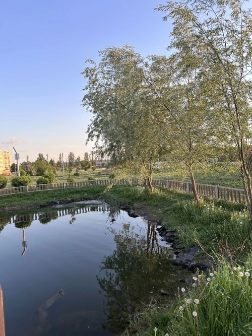 В Татарстане сохранится антициклоническая погода: после холодной ночи потеплеет до +28
