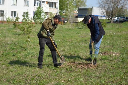 В Камских Полянах продолжается акция «Сад памяти»