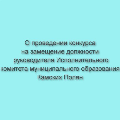 О проведении конкурса на замещение должности руководителя Исполнительного комитета муниципального образования  Камских Полян