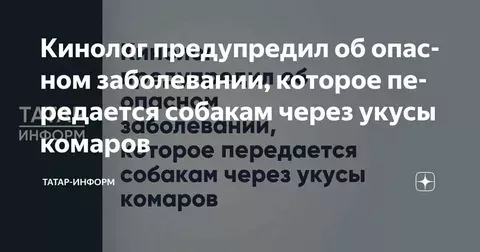 Кинолог предупредил о серьёзной опасности для собак, связанной с укусами комаров.