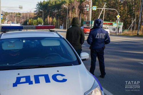В случае ДТП с участием животного необходимо незамедлительно вызывать ГИБДД