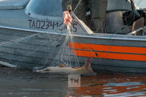 В Татарстане в рамках операции «Нерест» предотвратили ущерб на 35 миллионов рублей