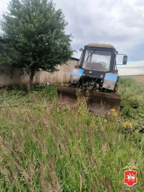 В Нижнекамском районе  на участке обнаружили дикорастущую коноплю