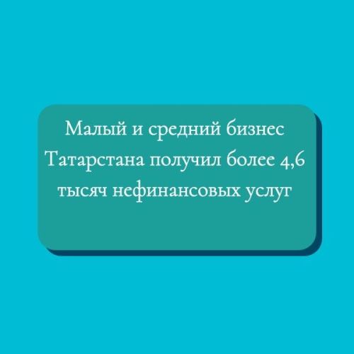 Малый и средний бизнес Татарстана получил более 4,6 тысяч нефинансовых услуг