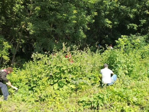 В Камских Полянах прошел традиционный средник на «Тропе здоровья»