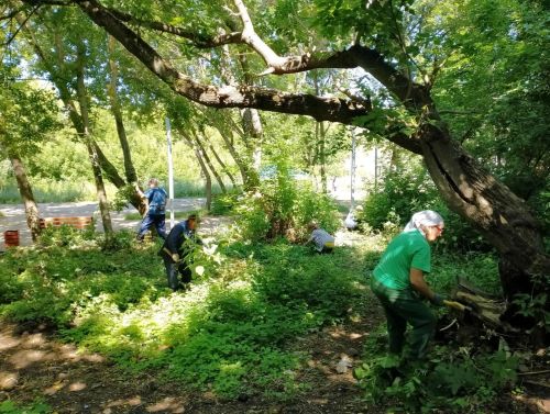В Камских Полянах прошел традиционный средник на «Тропе здоровья»