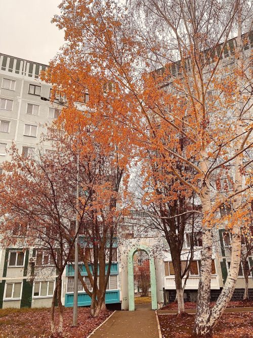 В Татарстане продолжается потепление