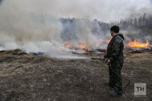 С начала года в Татарстане ликвидировали 224 пожара у границ лесного фонда