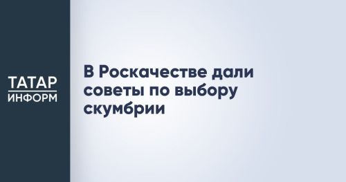 Роскачество дало рекомендации по выбору скумбрии