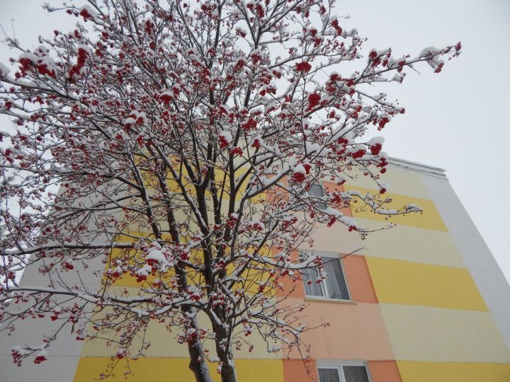 Синоптики: Потепление придет в Татарстан на следующей неделе