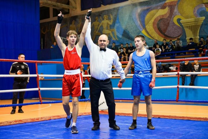 Воспитанник Камскополянской спортшколы Дмитрий Савельев одержал очередную победу