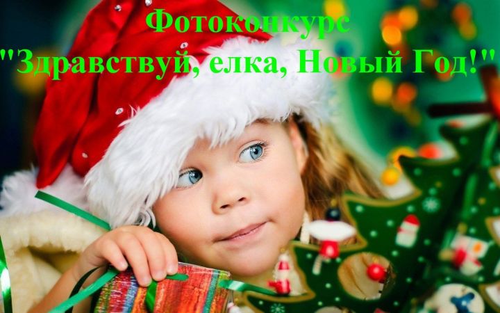 Глеб Пономарев - очередной участник фотоконкурса "Здравствуй, елка, Новый год!"