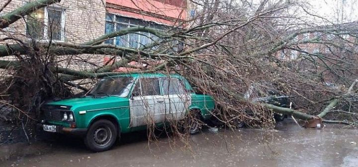 В результате урагана в Москве пострадали 17 человек