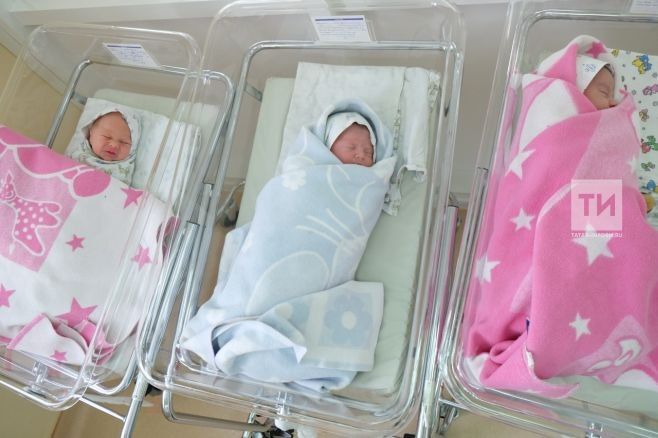 Семья из Мензелинского района РТ обратилась за выплатой на третьего ребенка