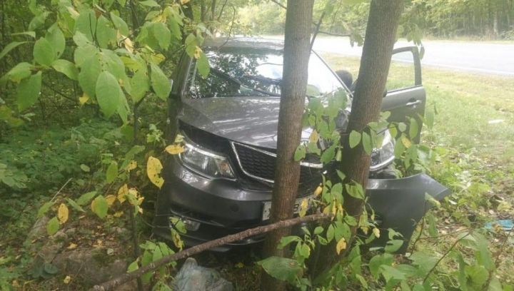 Недалеко от Камских Полян 20-летняя  девушка на высокой скорости врезалась в дерево