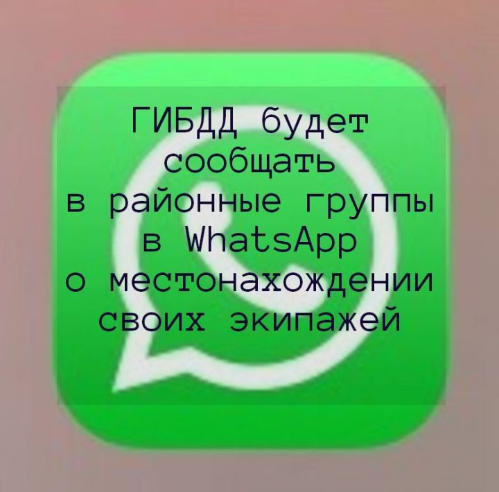 ГИБДД будет сообщать в районные группы в WhatsАpp о местонахождении своих экипажей