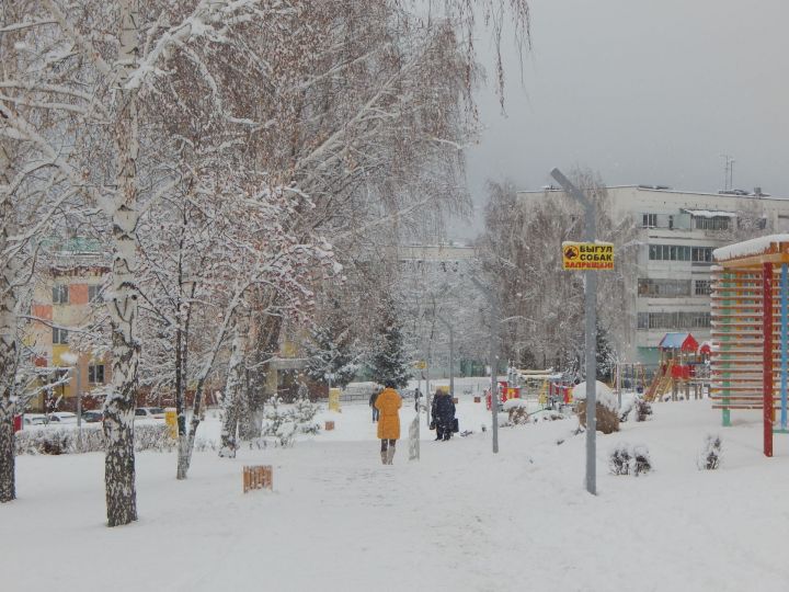 Синоптики предупреждают татарстанцев о снежной буре