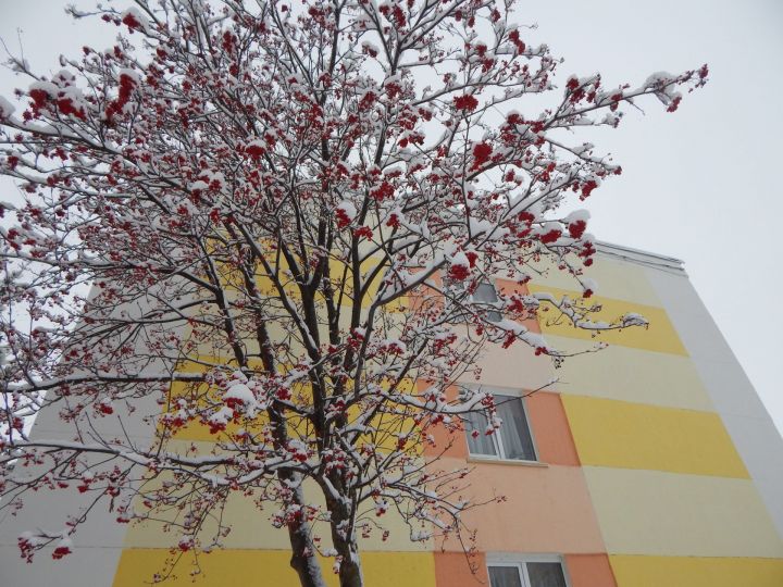 В Гидрометцентре предупредили об изменчивой погоде в феврале и марте