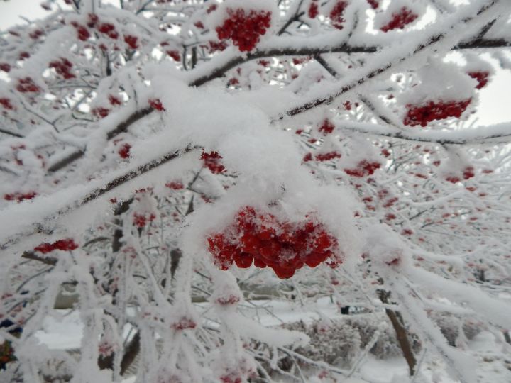На этой неделе в Татарстане ожидается снег