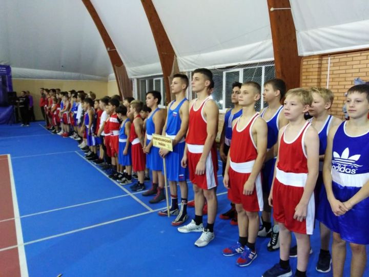 В Елабуге прошел Открытый межрегиональный турнир по боксу, посвященный празднованию 100-летия образования ТАССР