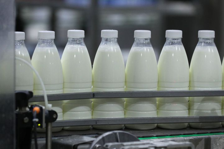 В России увеличился объем реализации молока: Татарстан среди регионов, обеспечивших наибольший прирост