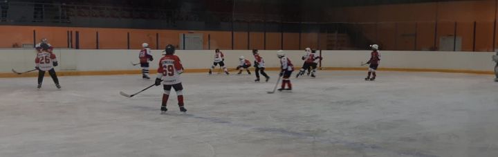 В Камполянском ледовом дворце прошла календарная игра Первенства РТ по хоккею