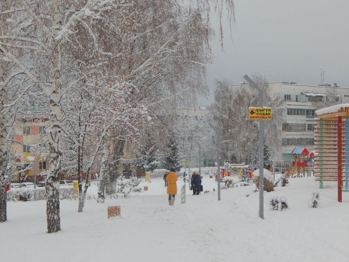 Последний день зимы встретит татарстанцев метелью