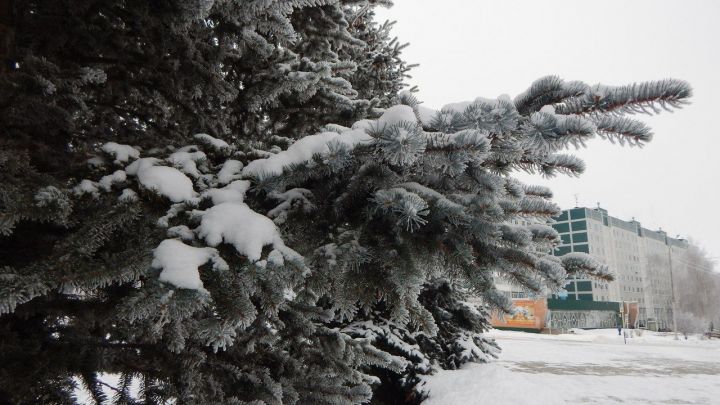 В Татарстане еще ударят морозы