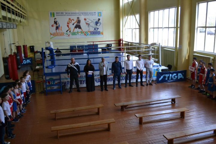 В Камских Полянах прошло Открытое Первенство по боксу, посвященное 100-летию образования ТАССР