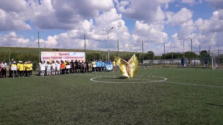 На базе Камско-Полянского психоневрологического интерната состоялся 1 этап открытого турнира по мини-футболу