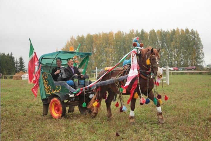 В Татарстане пройдут конноспортивные соревнования, посвященные «Дню Коня»