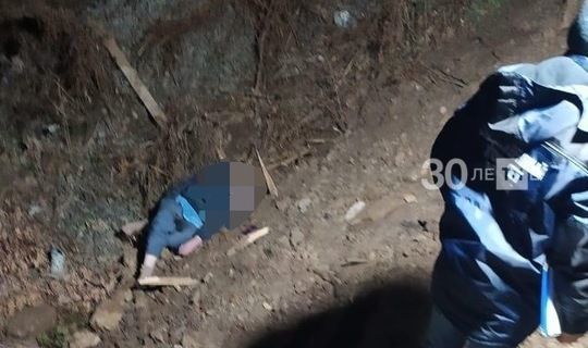 Ночью в Кукморе ликвидировали злоумышленника, напавшего на полицейских с ножом