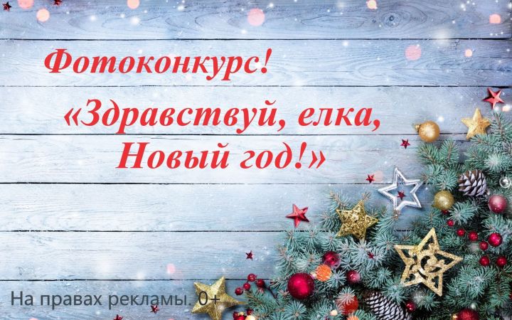 Вадим Колкаманов -  тринадцатый участник фотоконкурса «Здравствуй, елка, Новый год!»