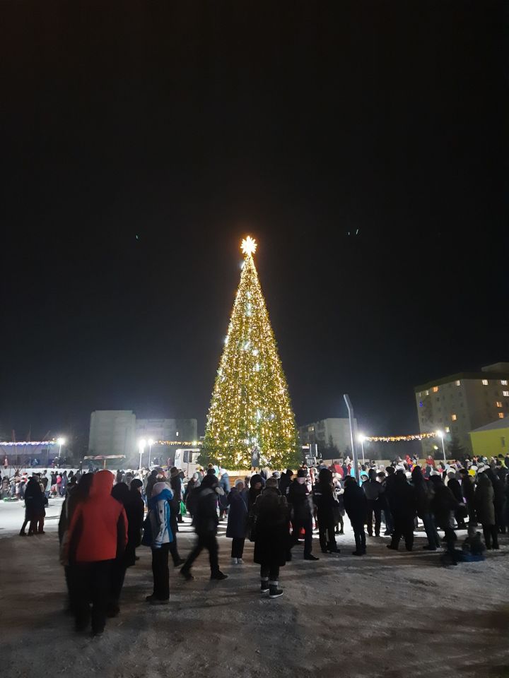 В Новогоднюю ночь в камполянском Экопраке «Оазис» прошли гулянья