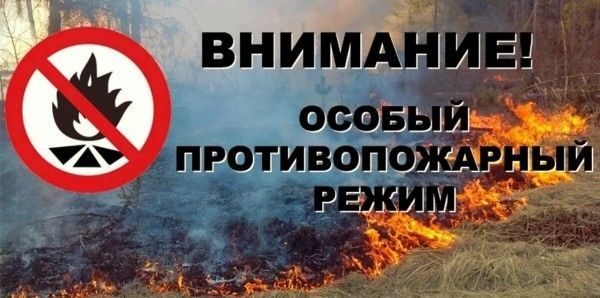 В Камских Полянах проходит особый противопожарный режим