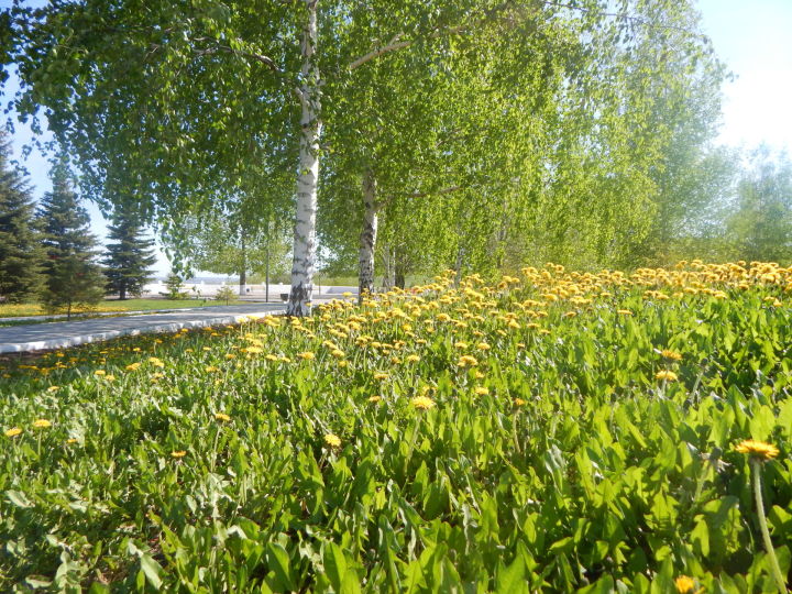 В Татарстане открыли для посещения парки и скверы