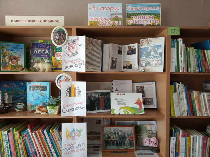В рамках празднования 100-летия ТАССР в камполянской детской библиотеке оформлена книжная выставка