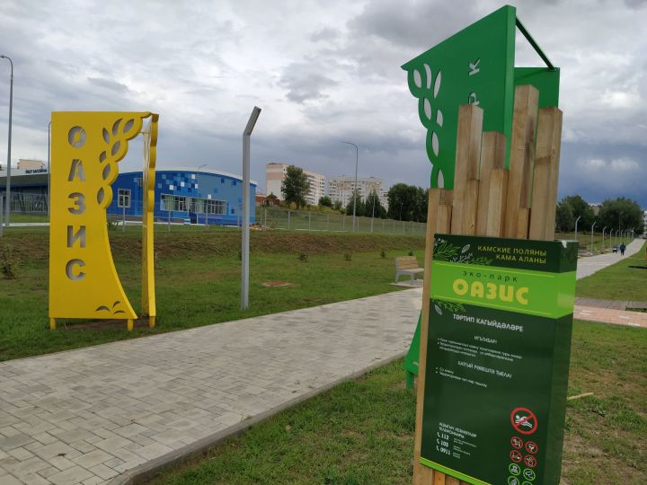 Экопарк «Оазис» в Камских Полянах – это современное общественное пространство
