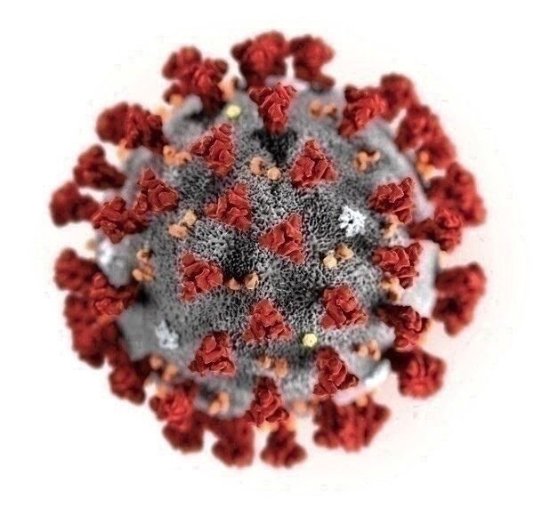 Как отличить осеннюю простуду от коронавируса: 6 признаков