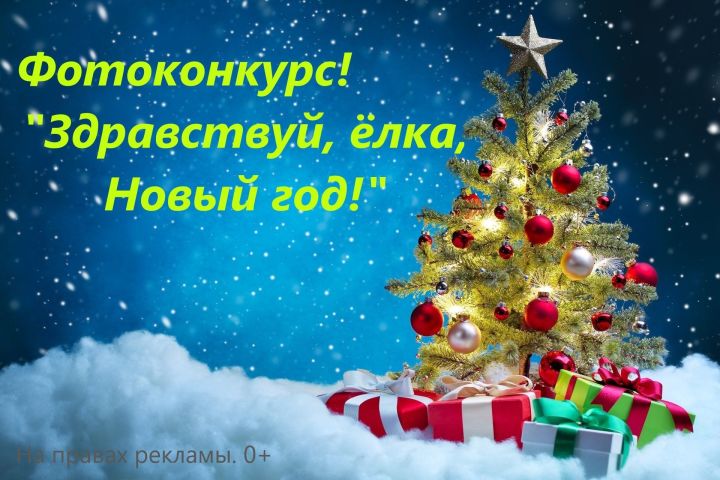 Информационный центр «ПОСИНФОРМ» подвел итоги фотоконкурса «Здравствуй, елка, Новый год!»