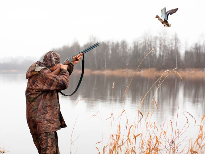 Будни охотников: Топ 10 правил безопасной охоты